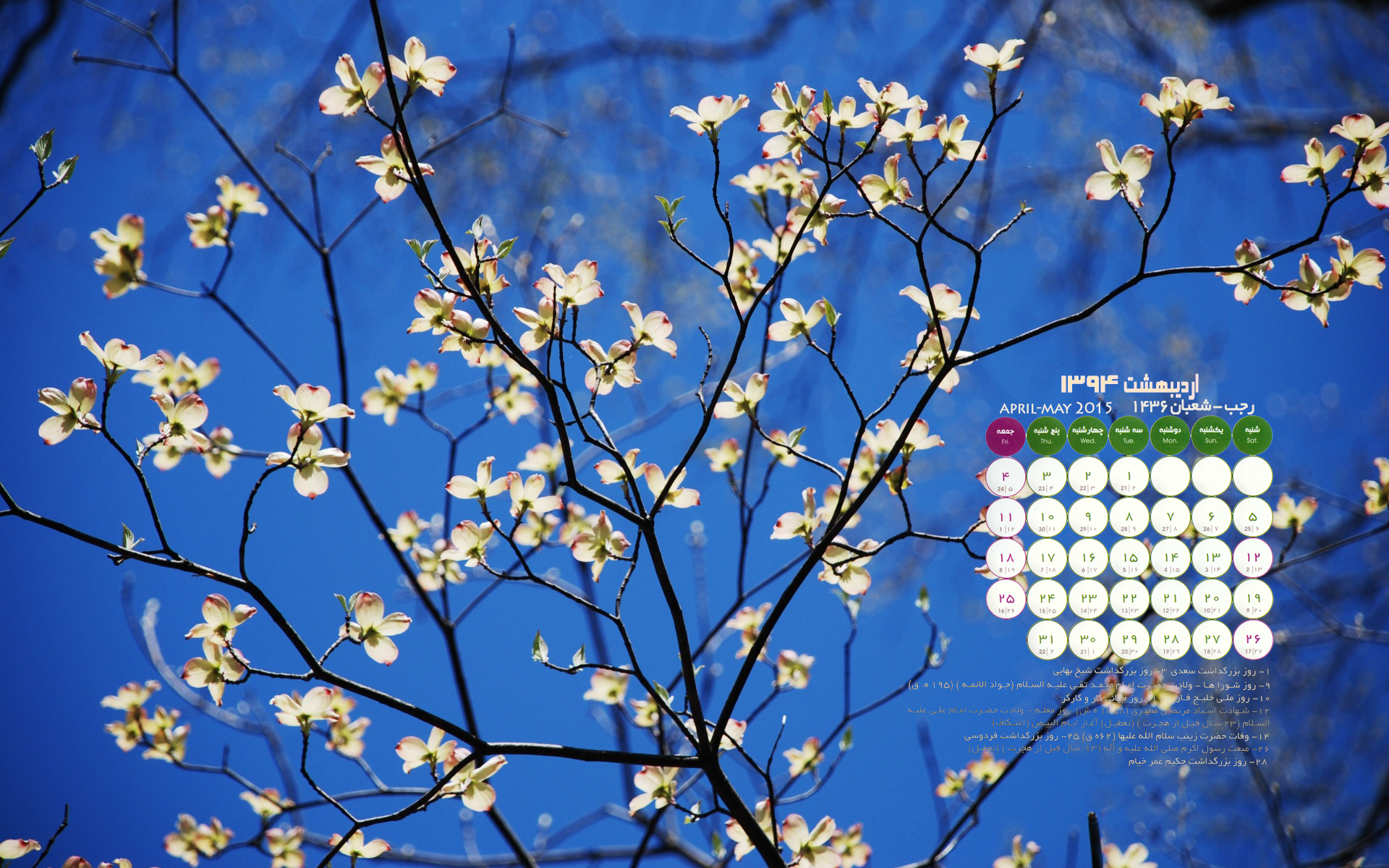تقویم اردیبهست/شکوفه های بهاری